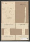 Synedra ulna var. splendens (Kuetz). Brun. (de-Toni-Nr.: Genus 66, Species 2584) Zeichnungen Sammlung Grunow Nr. 5232 (NHMW-BOT-W0373603)